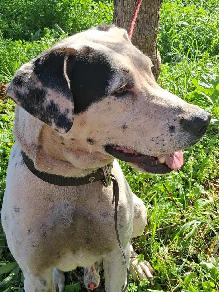 583115325_754474137690379_9119153337738844870_n