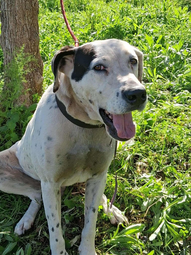 583130990_1140770828268408_3242815320456547490_n