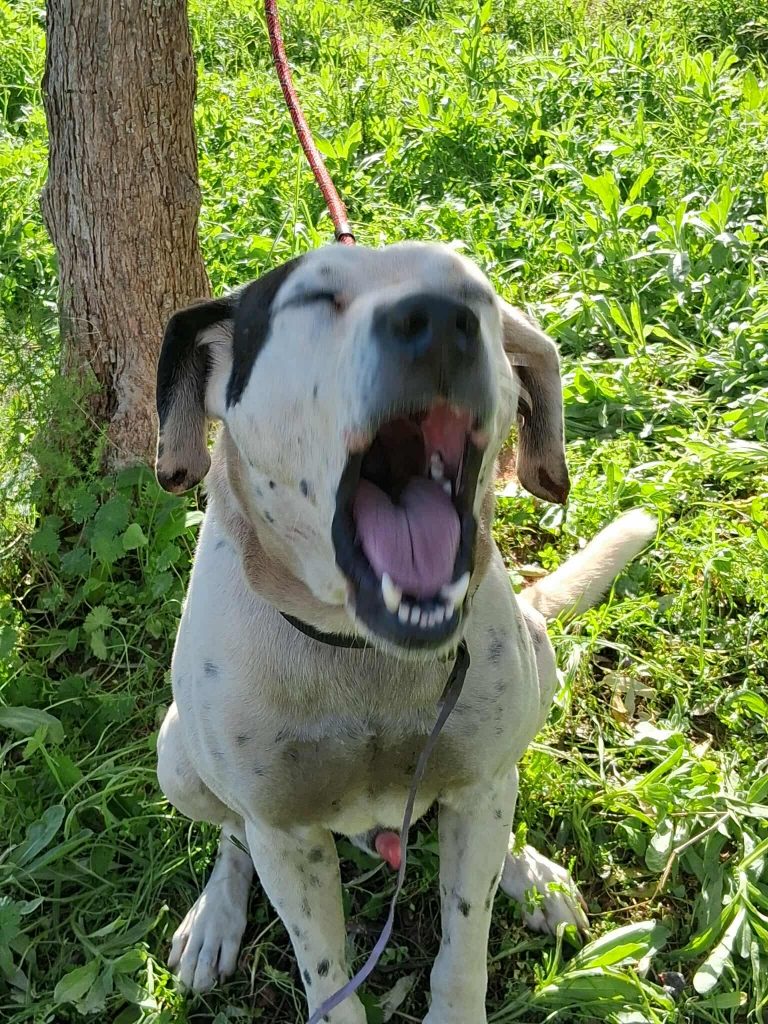 584785255_1159570032930778_64639981930082186_n