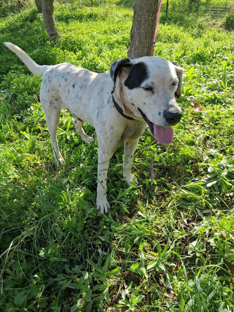 585405195_725729833884782_2194763501281003184_n