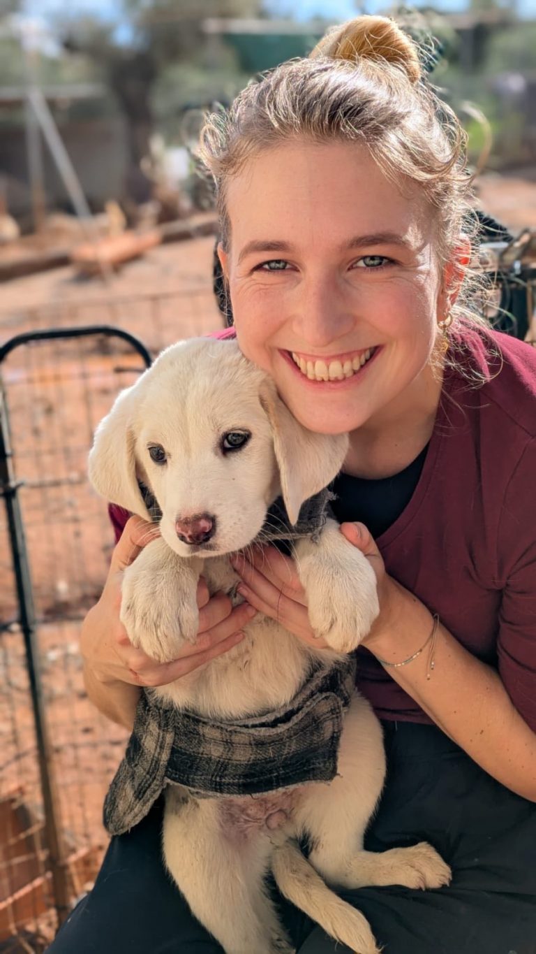 Nika & Nuka - Vermittlungshunde