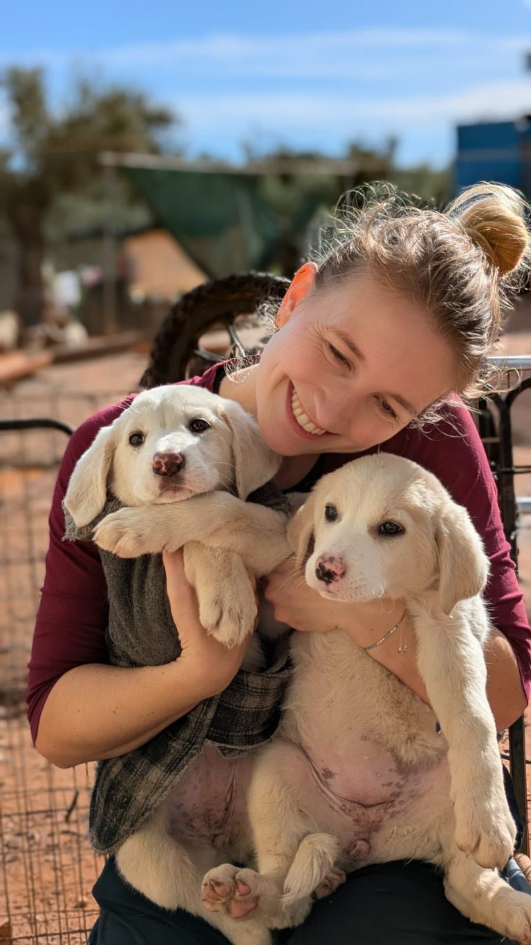 Nika & Nuka - Vermittlungshunde