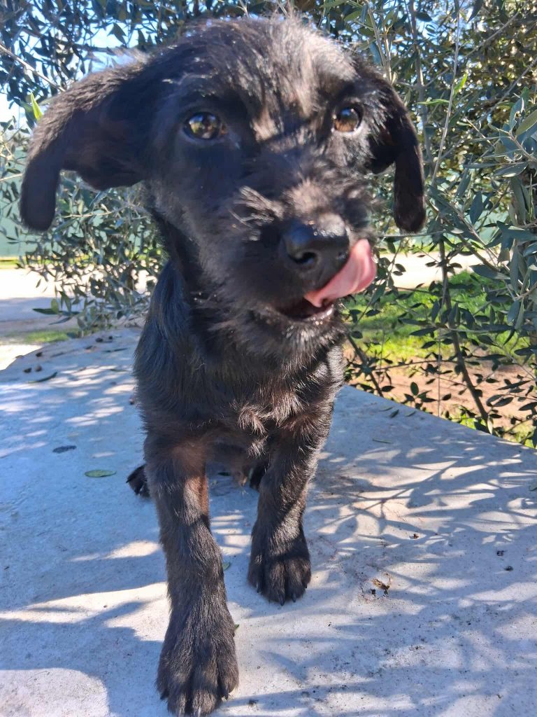 593525828_779495405102684_436862231343546903_n