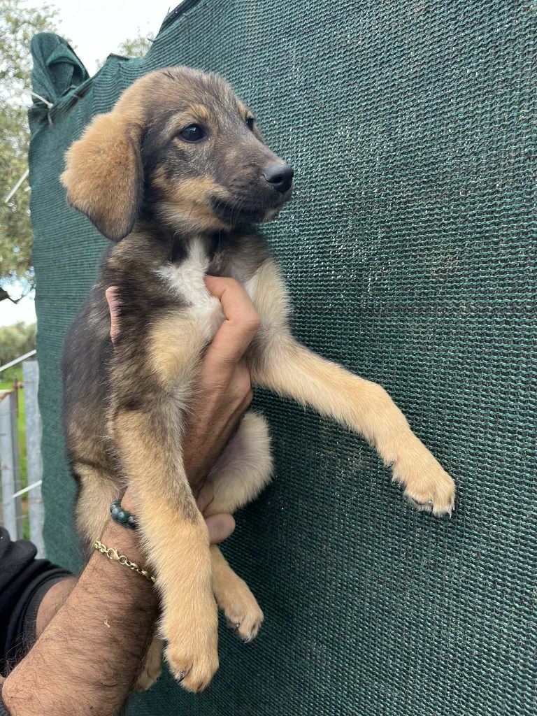 593820d3-85d2-4588-b881-530ae3c3fe74