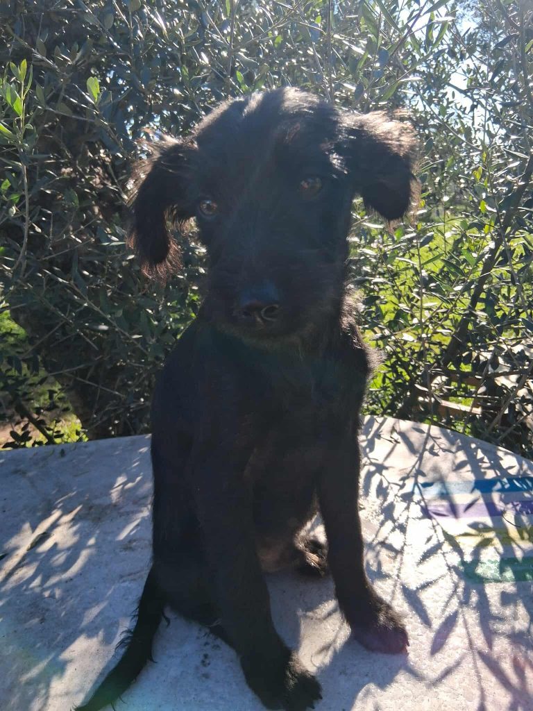 594021295_774724061694401_3000205116865265116_n