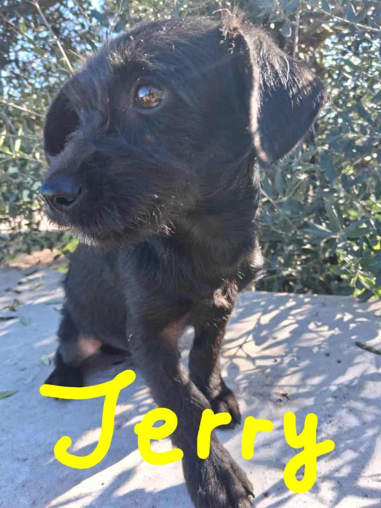 594041018_2030169051159902_3605182221549362582_n