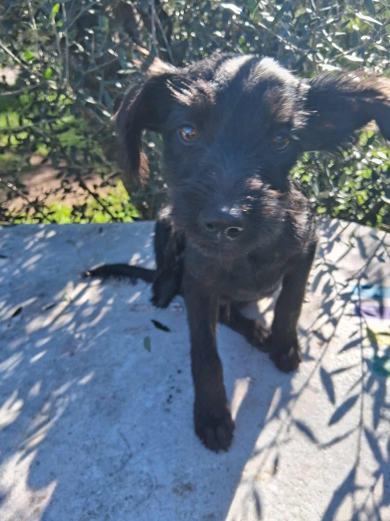 594439738_3533609060110942_5301115247078081468_n