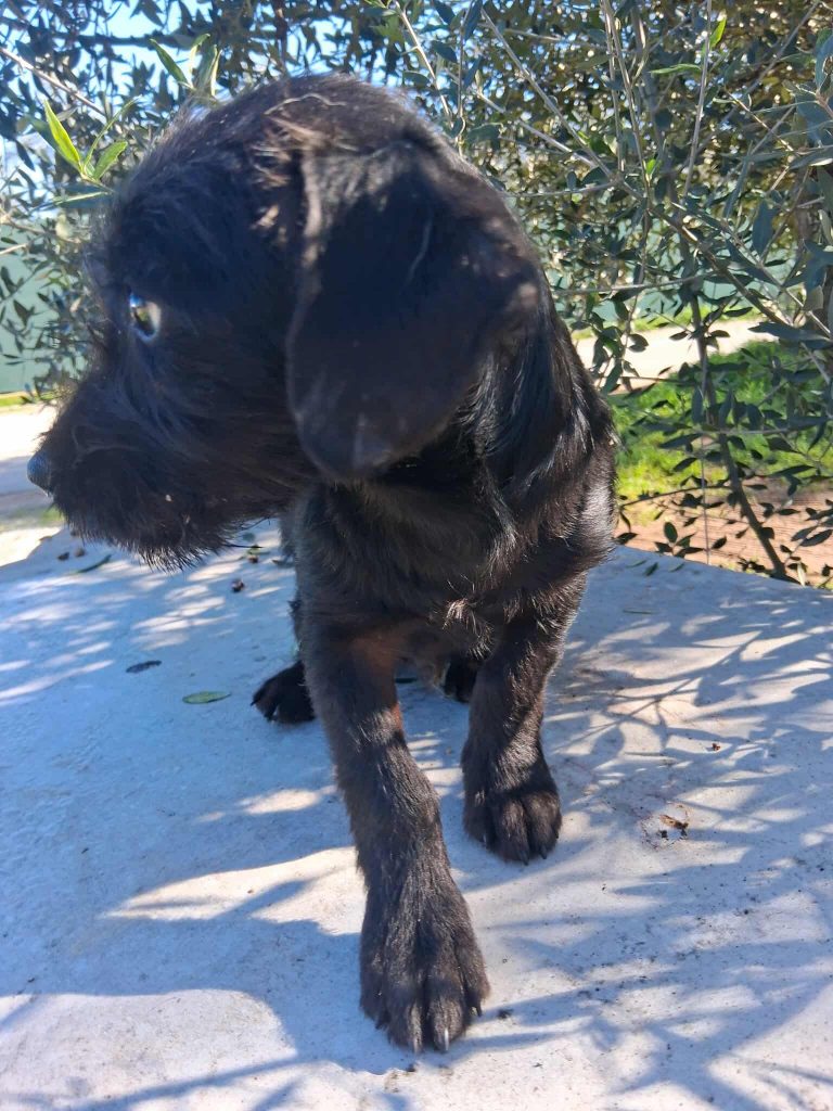 594956843_1363817165476769_1806341232549150596_n