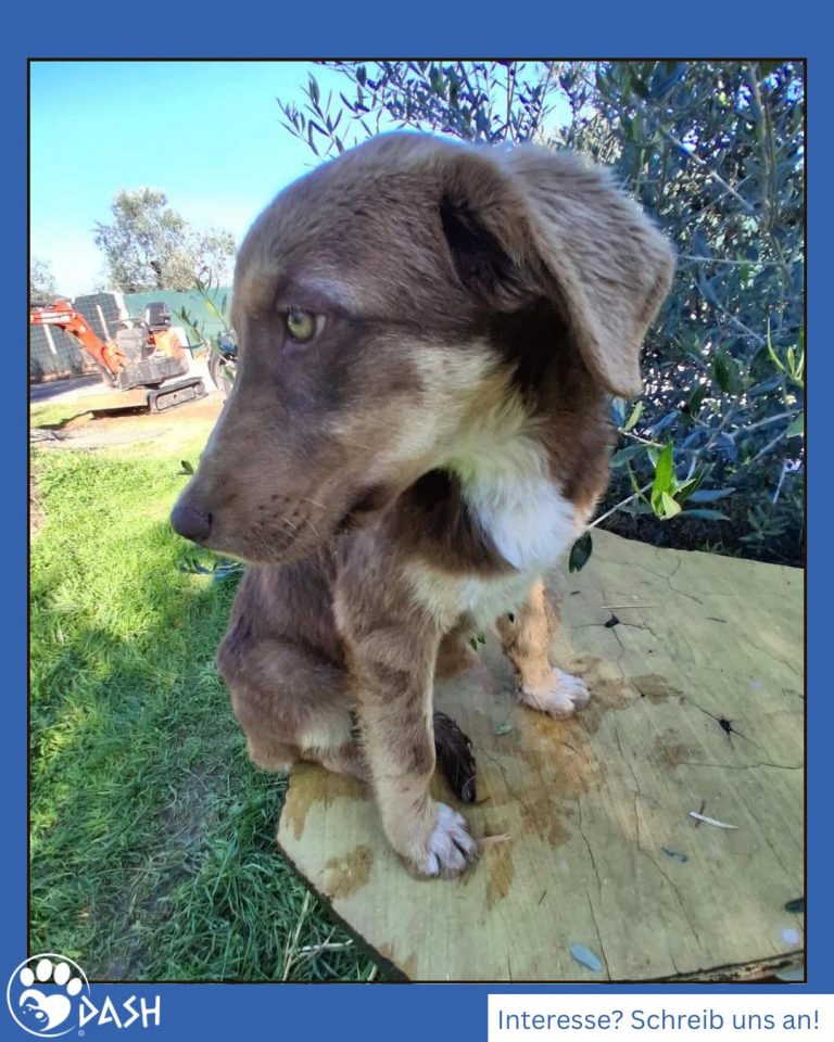 596449947_1301178962051387_5977015680379893142_n