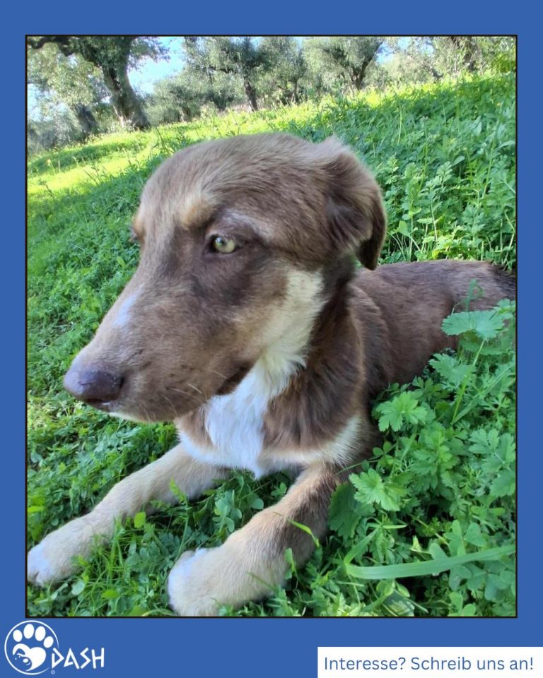 596633500_1301178945384722_7534750325599984597_n