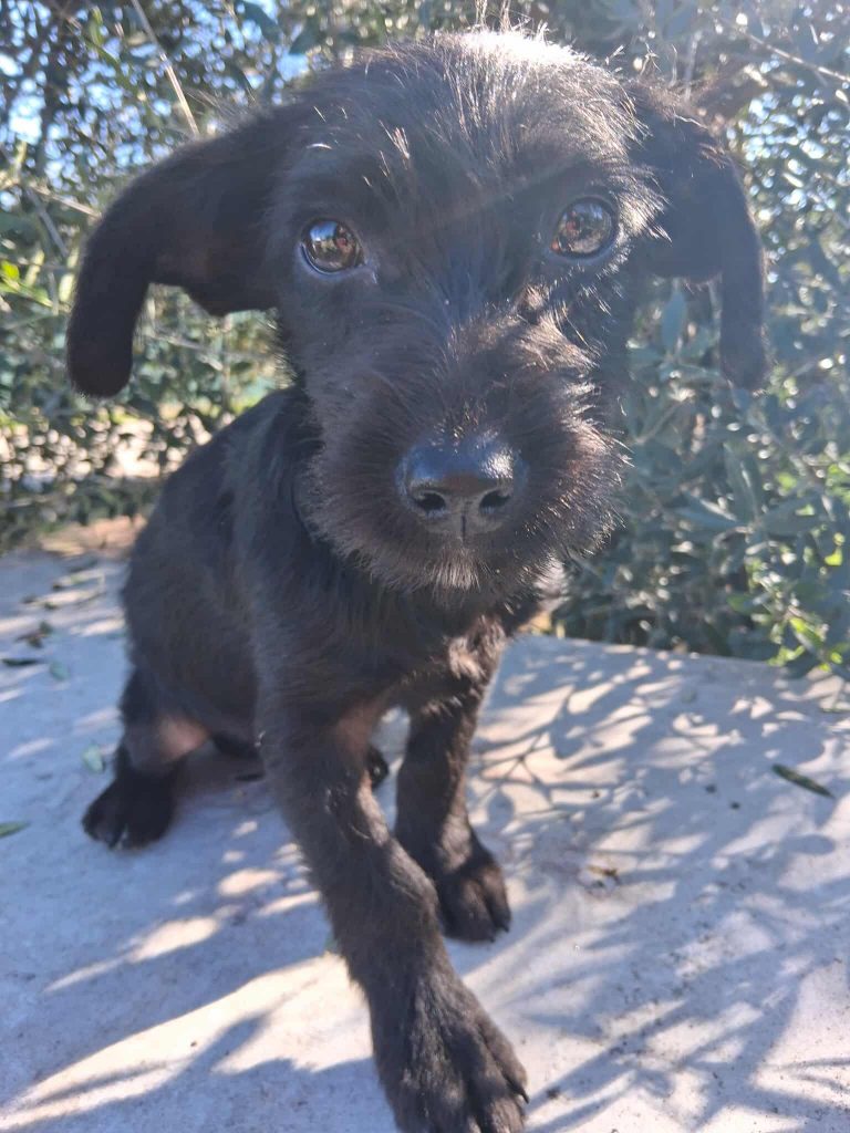 597216787_1489871608783852_8207668471449969180_n