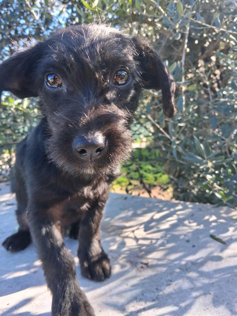 597356659_1168966688759187_5382562410430784544_n