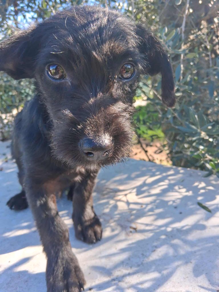 597613140_2050143722414839_8439981500574037040_n