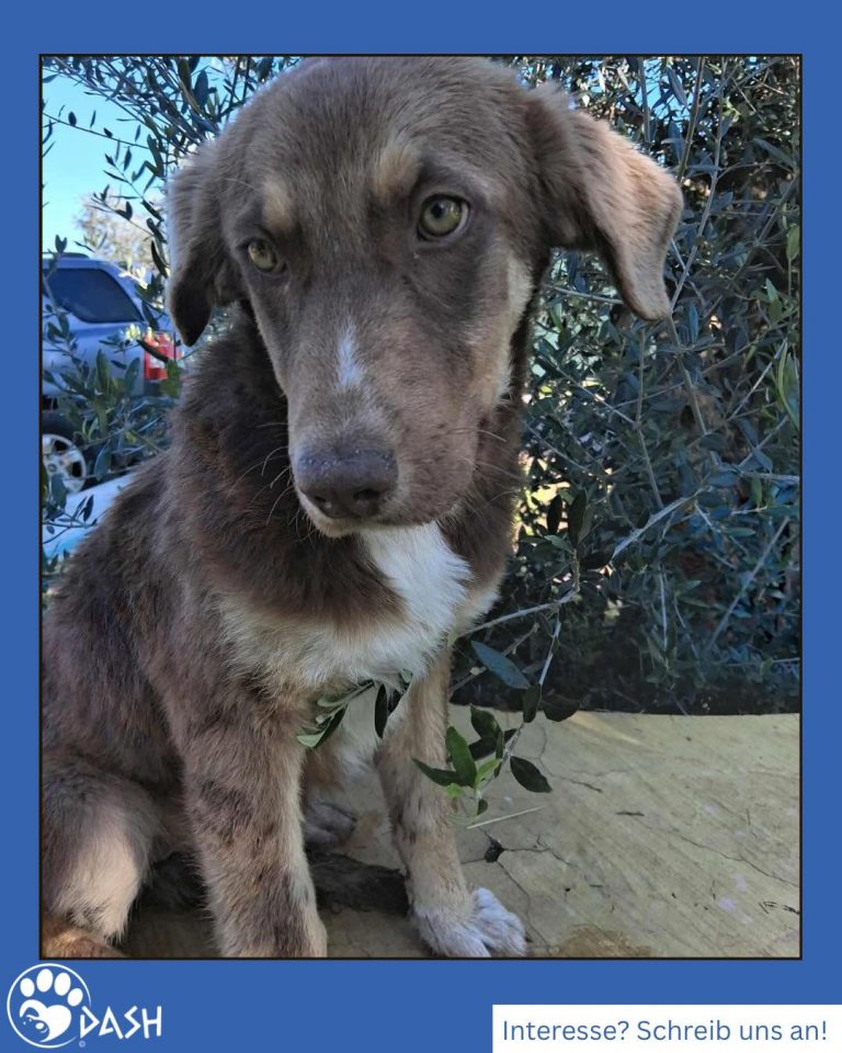 598113633_1301178938718056_4120527307730708268_n