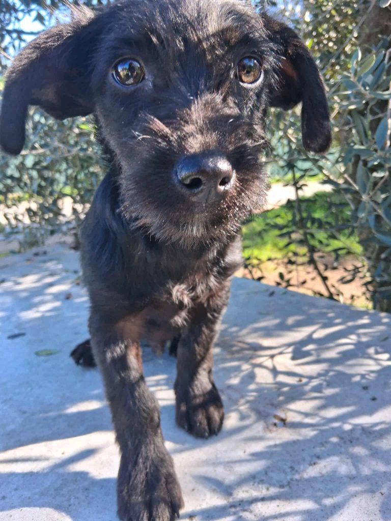 598700137_1369996273975470_1875612492628255552_n