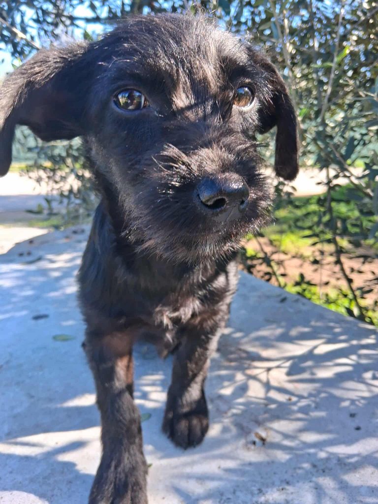 598714276_1377265890608388_3063600816260382716_n