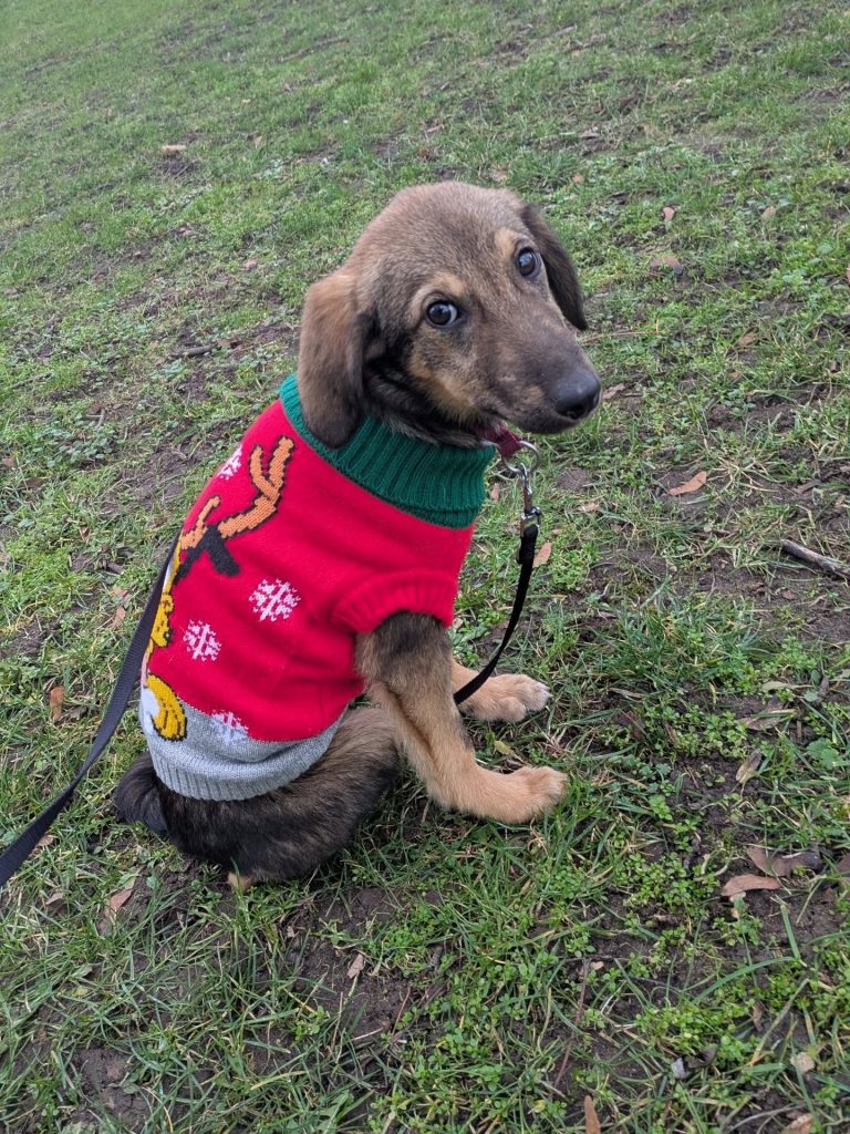 619754810_18100845943879172_5747284056666420437_n