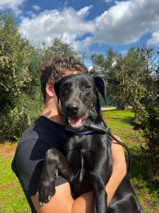 Shadow - Vermittlungshund