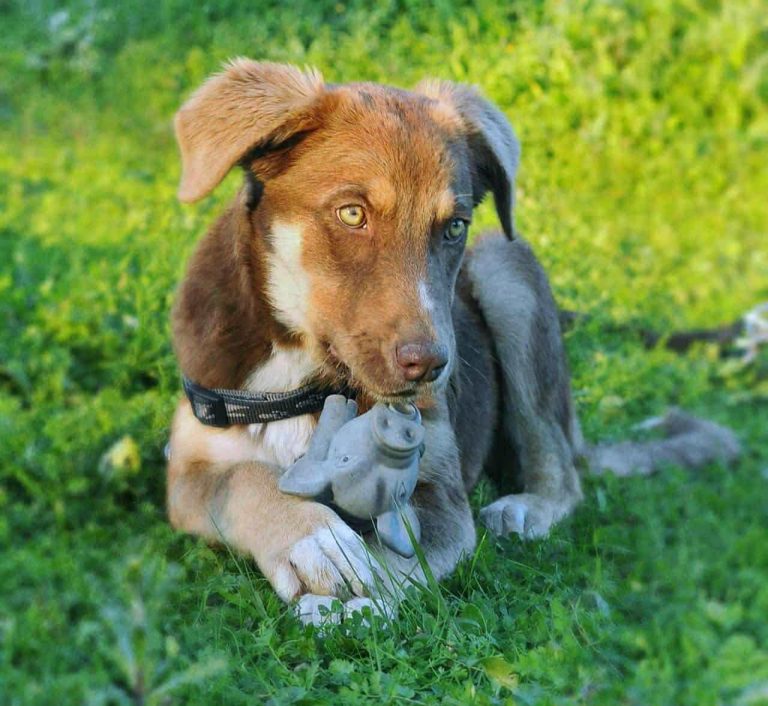 7733eec0-d1c1-4749-99bf-c44581a6ea5c