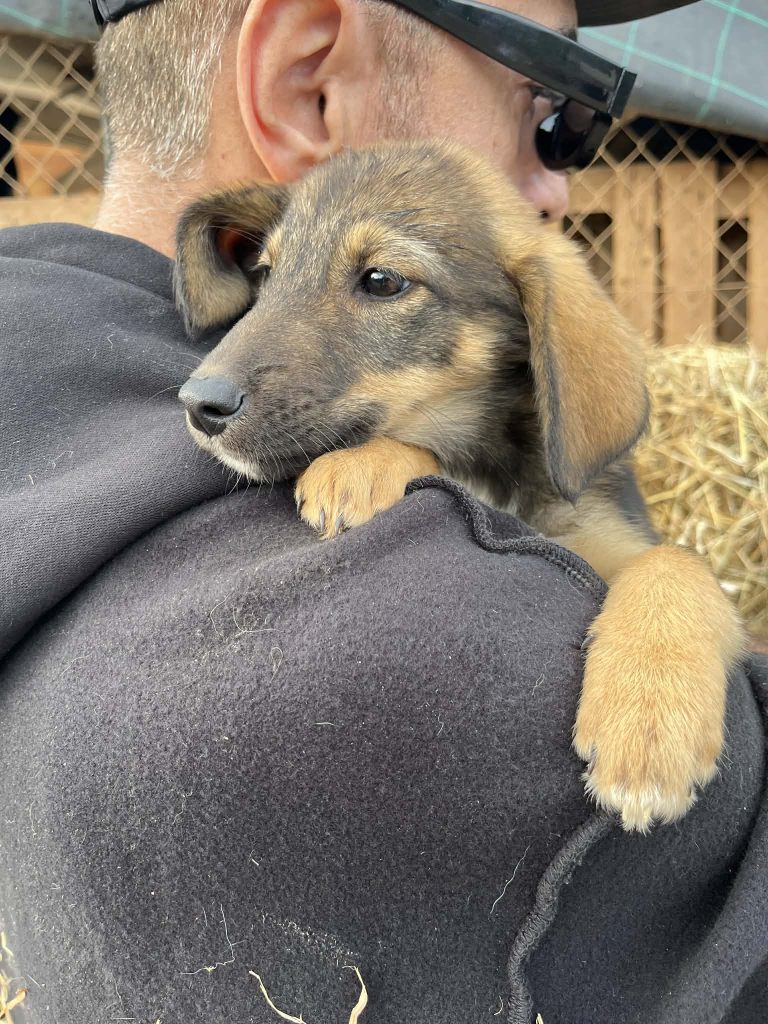 8a48dbc1-fbe3-482d-bbc0-766143458635