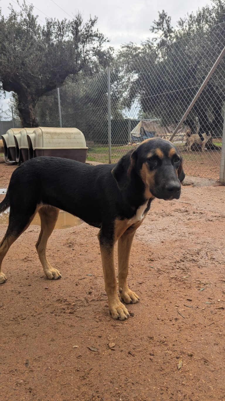 PXL_20251108_130712985.MP