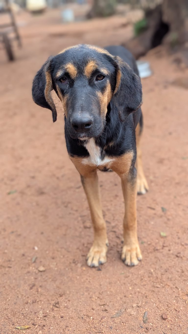 PXL_20251108_130726463.PORTRAIT