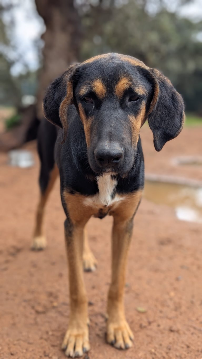 PXL_20251108_130729985.PORTRAIT