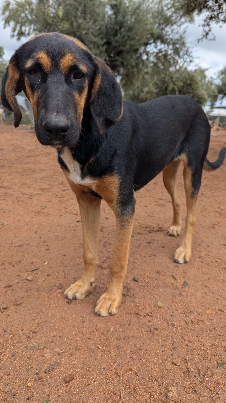 PXL_20251108_130736024.MP