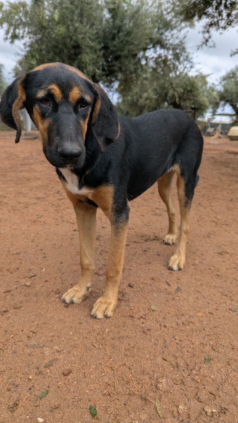 PXL_20251108_130737424