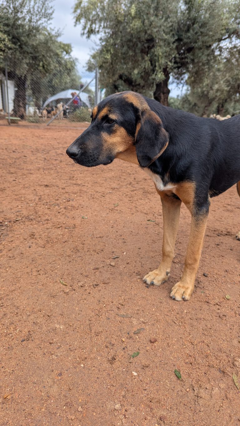 PXL_20251108_130740964