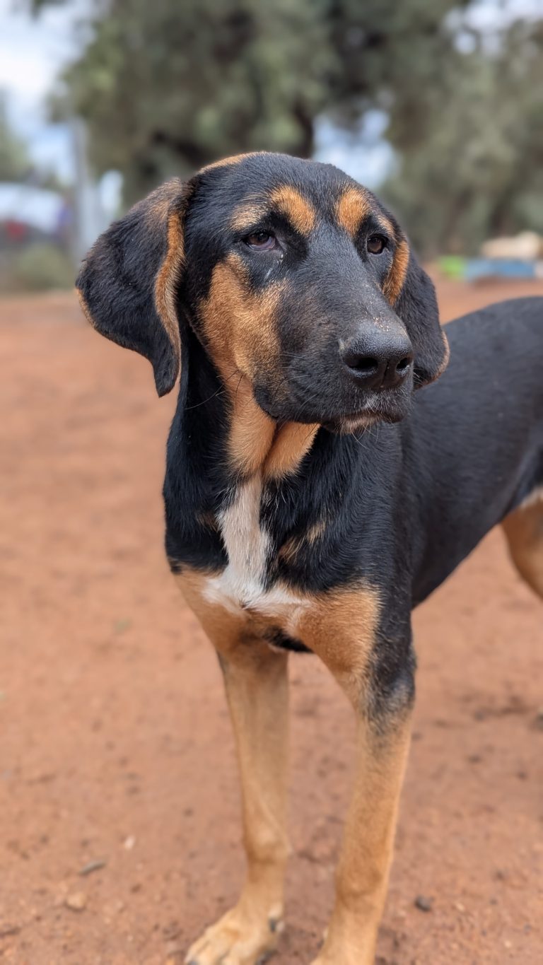 PXL_20251108_130745956.PORTRAIT