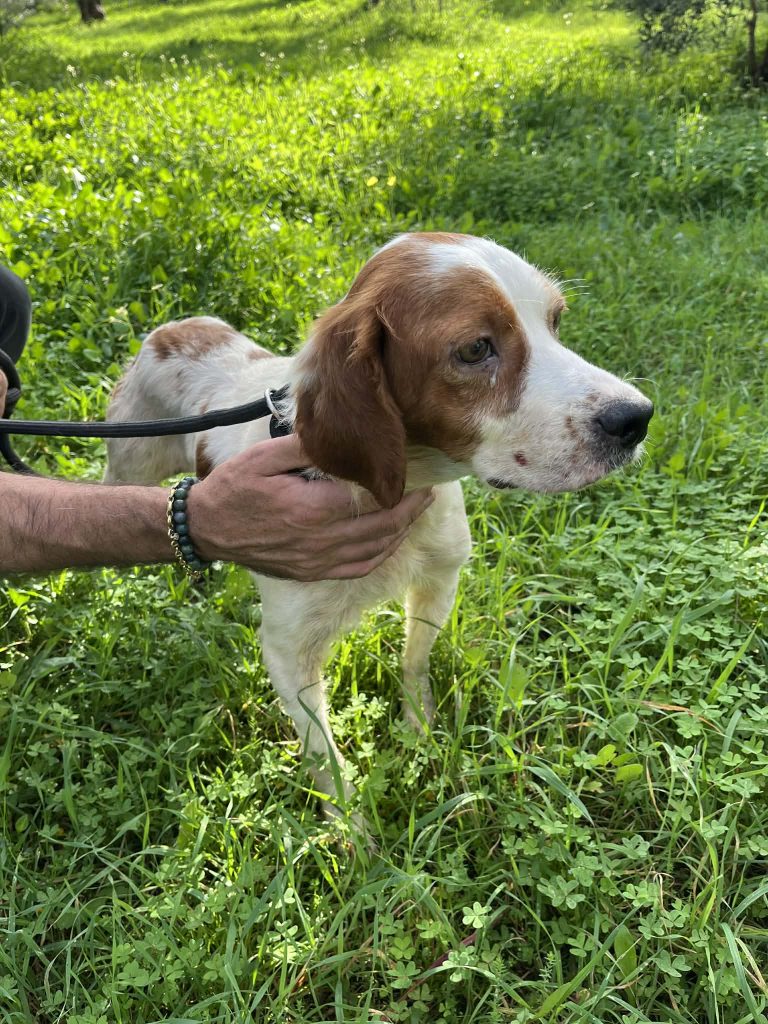 a566d5c6-8eb4-4895-b7b3-7887996992fe