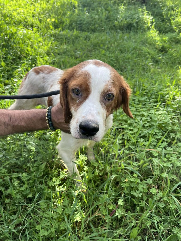 a65793b3-2fec-42d4-93e5-c2955f622f3b