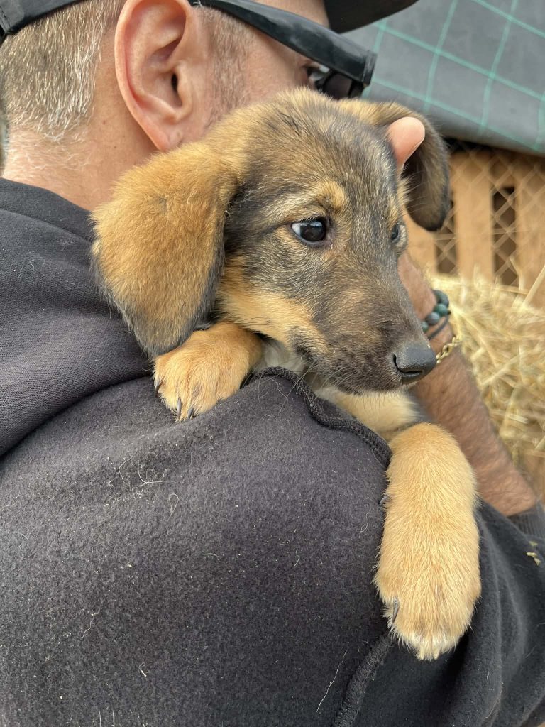 bc129cac-fa99-4522-bfc7-98e5ef8f5d70