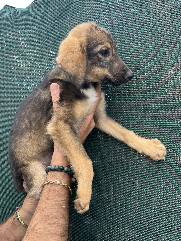 d912610f-4ad8-42ab-a234-22cc85797e7c