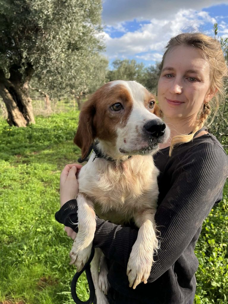 dc642abf-059e-4c74-be39-ff251af3b51f