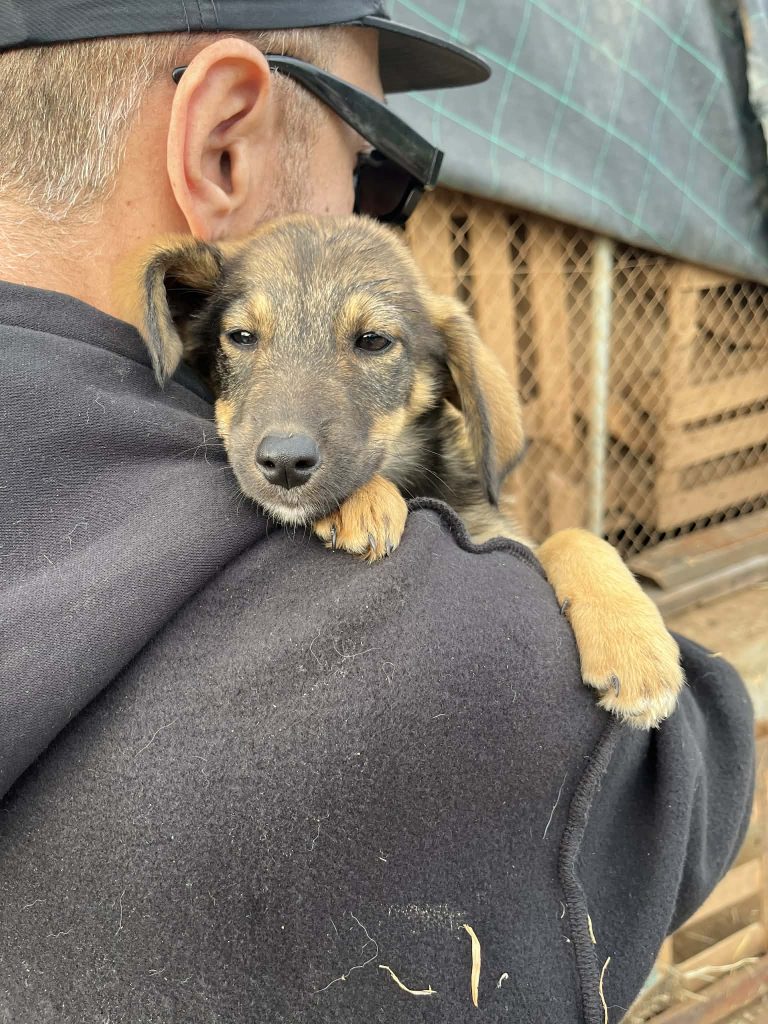 f10274bb-33cd-41bd-b761-44451a3b2c76