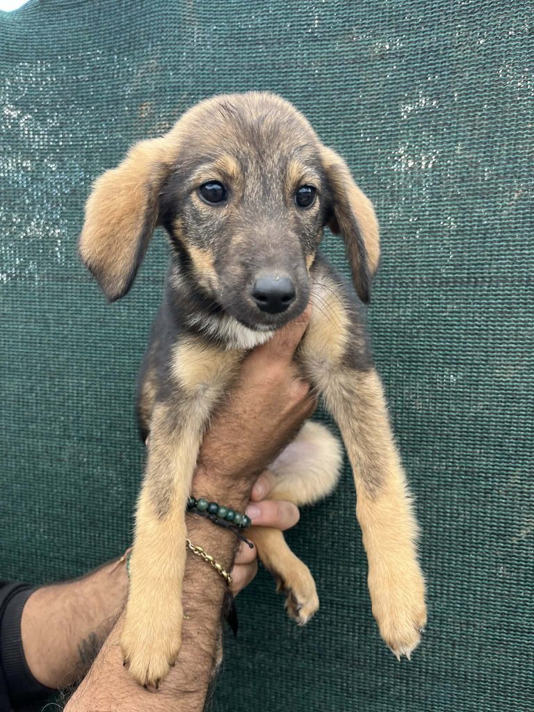 f620e5d0-5336-4633-9548-c8b2df082e80