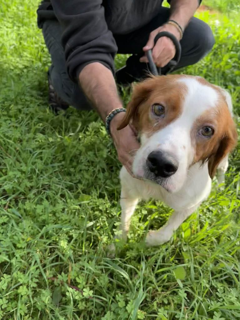 fcd4f1c3-b4e7-4f84-8c70-b573e58fb4a5