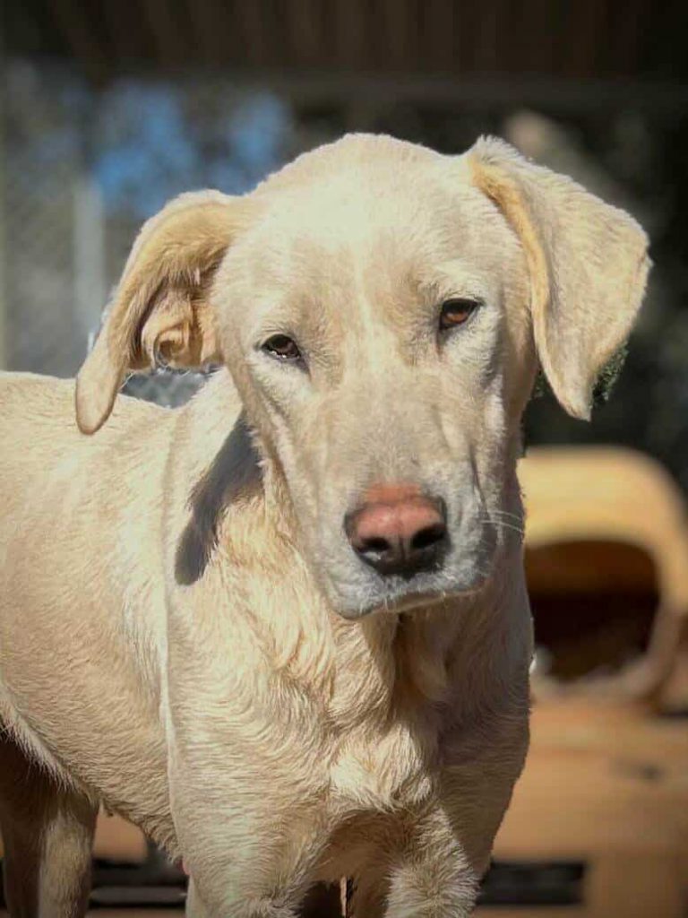 612889079_905910268783889_2814856323337177511_n