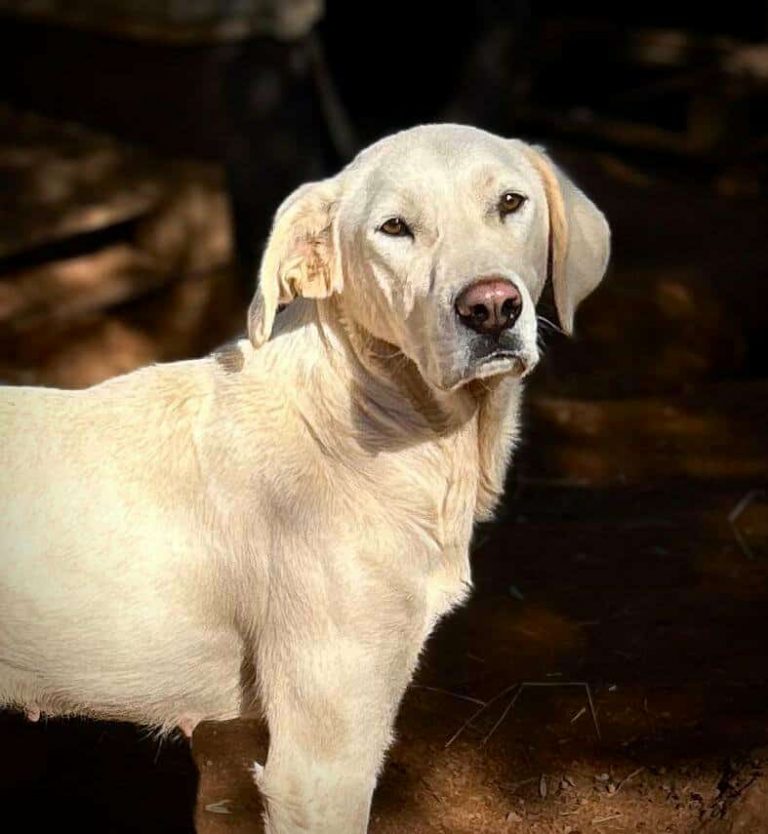 613122079_1206606181012388_835539493096361149_n