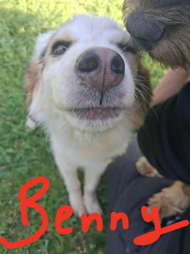 Benny