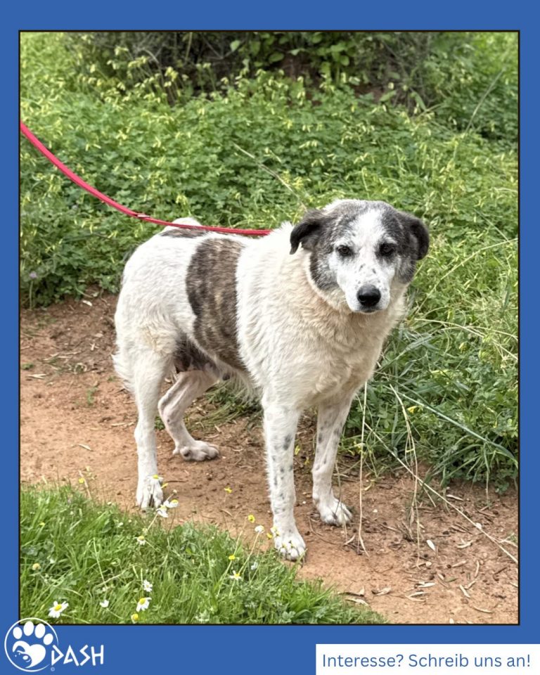 653710918_1380426930793256_1711625109644743869_n