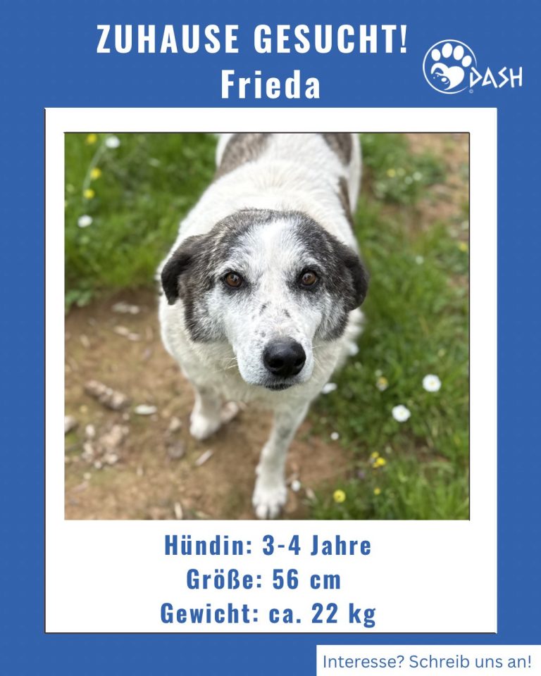 653717777_1380426857459930_4014503840476421931_n