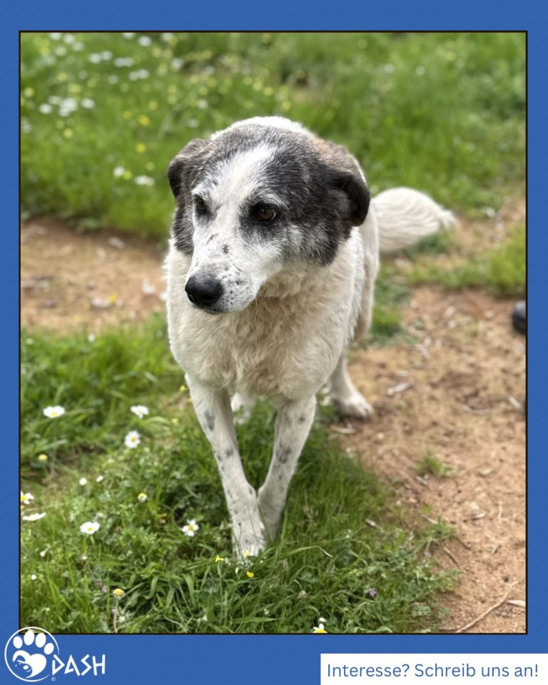 654886664_1380426780793271_4596137697944450811_n