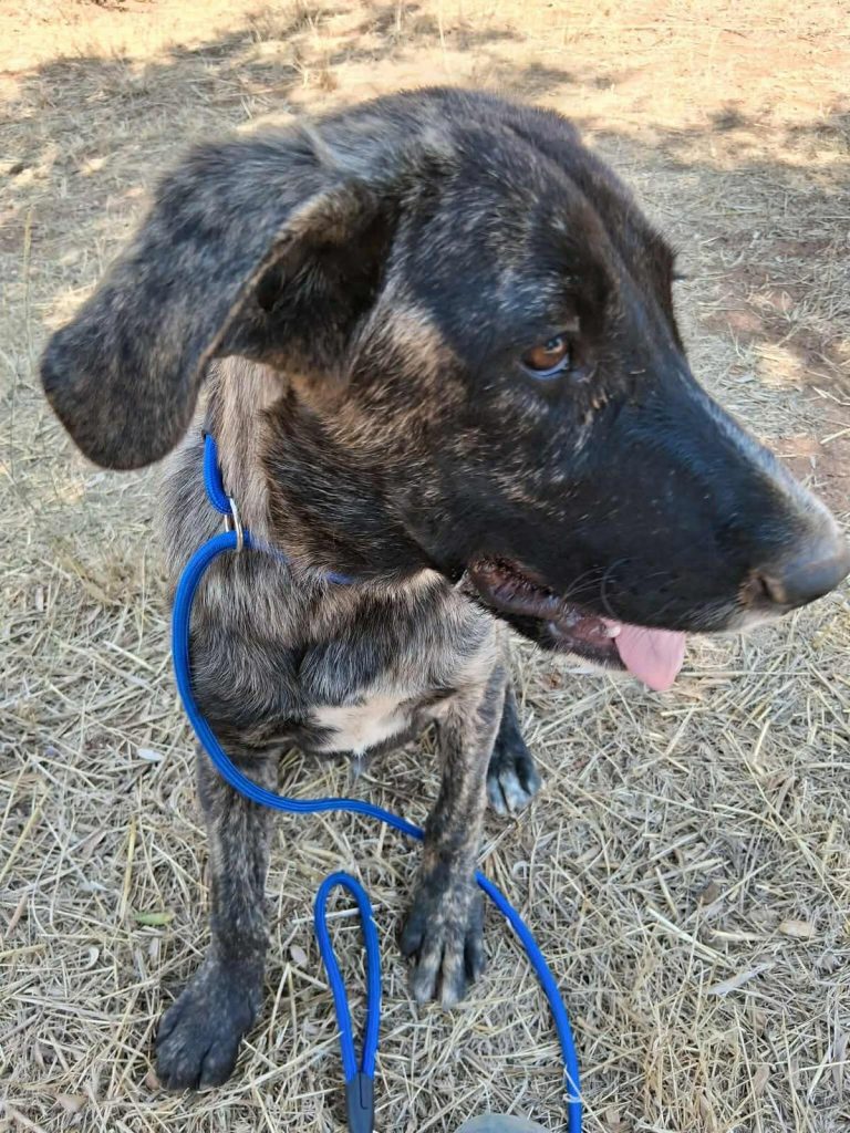 52393252-ab28-4fa1-8ec3-144299f88348