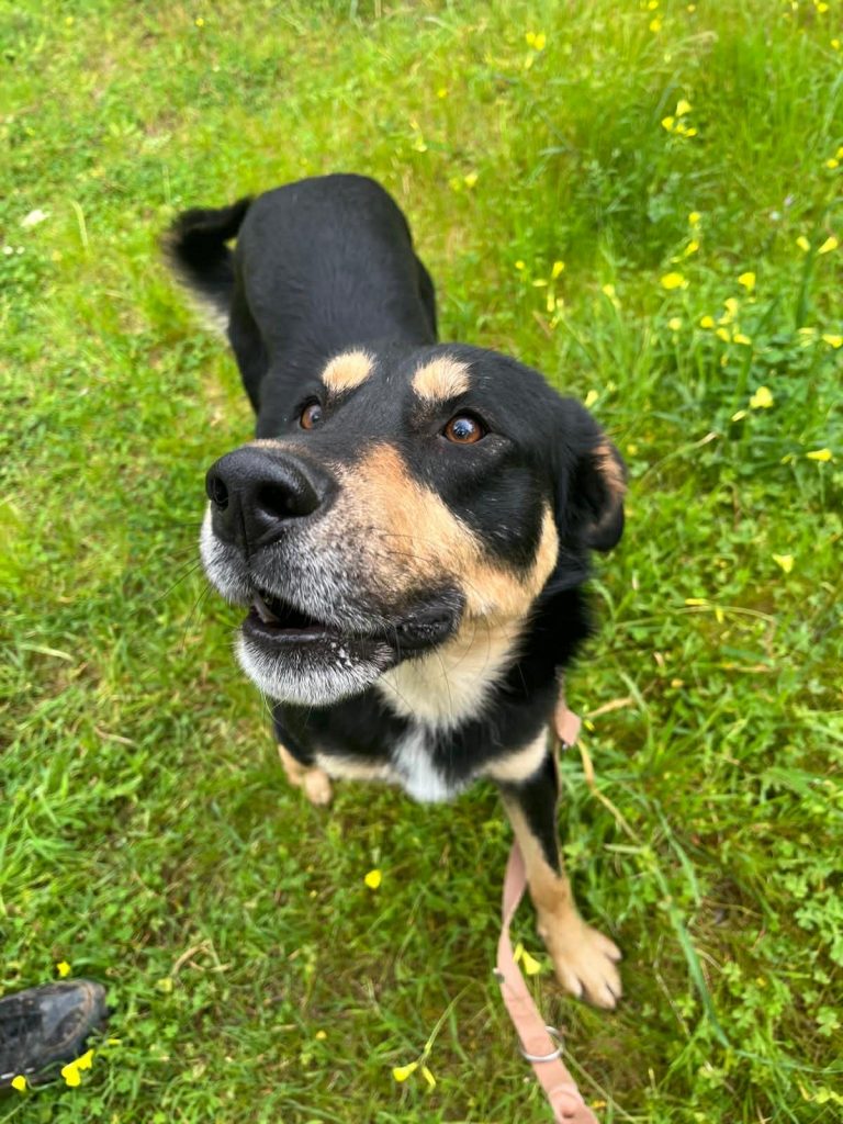 fea5c5f7-693a-4437-afcd-592721dc82cd