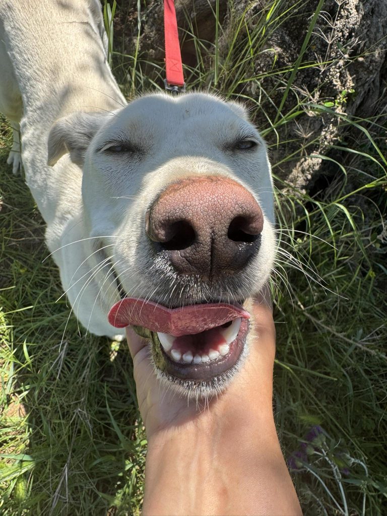 Yuki
