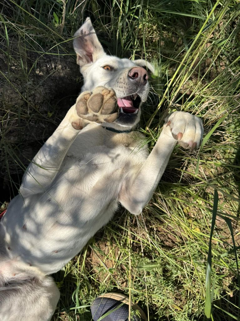 Yuki