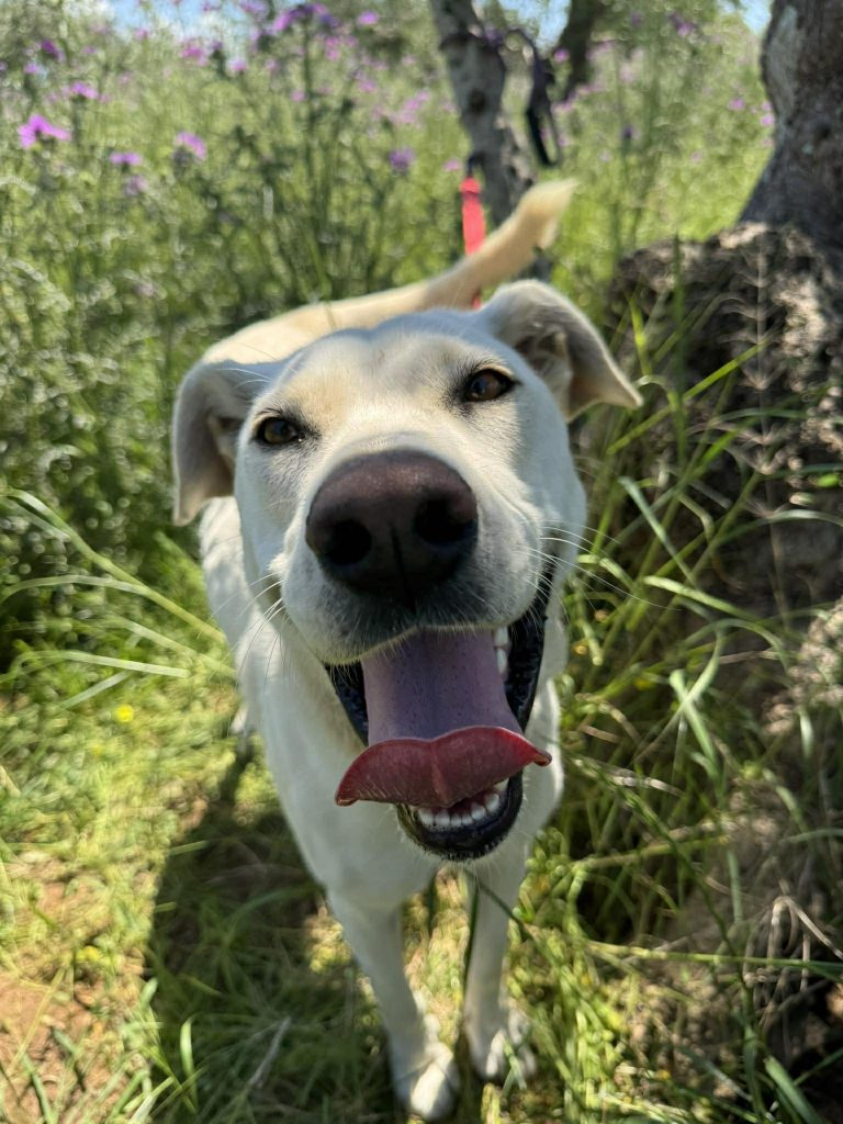 Yuki